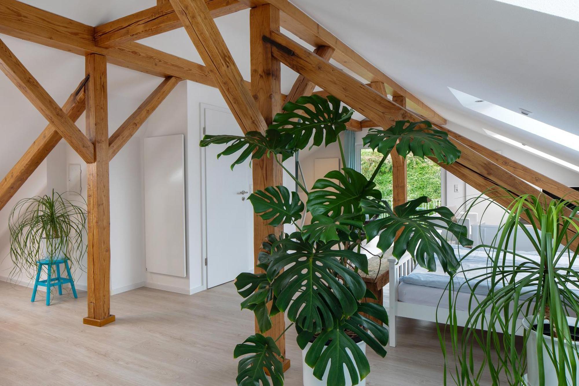 Ferienhaus Engelsberghof Endingen am Kaiserstuhl Luaran gambar