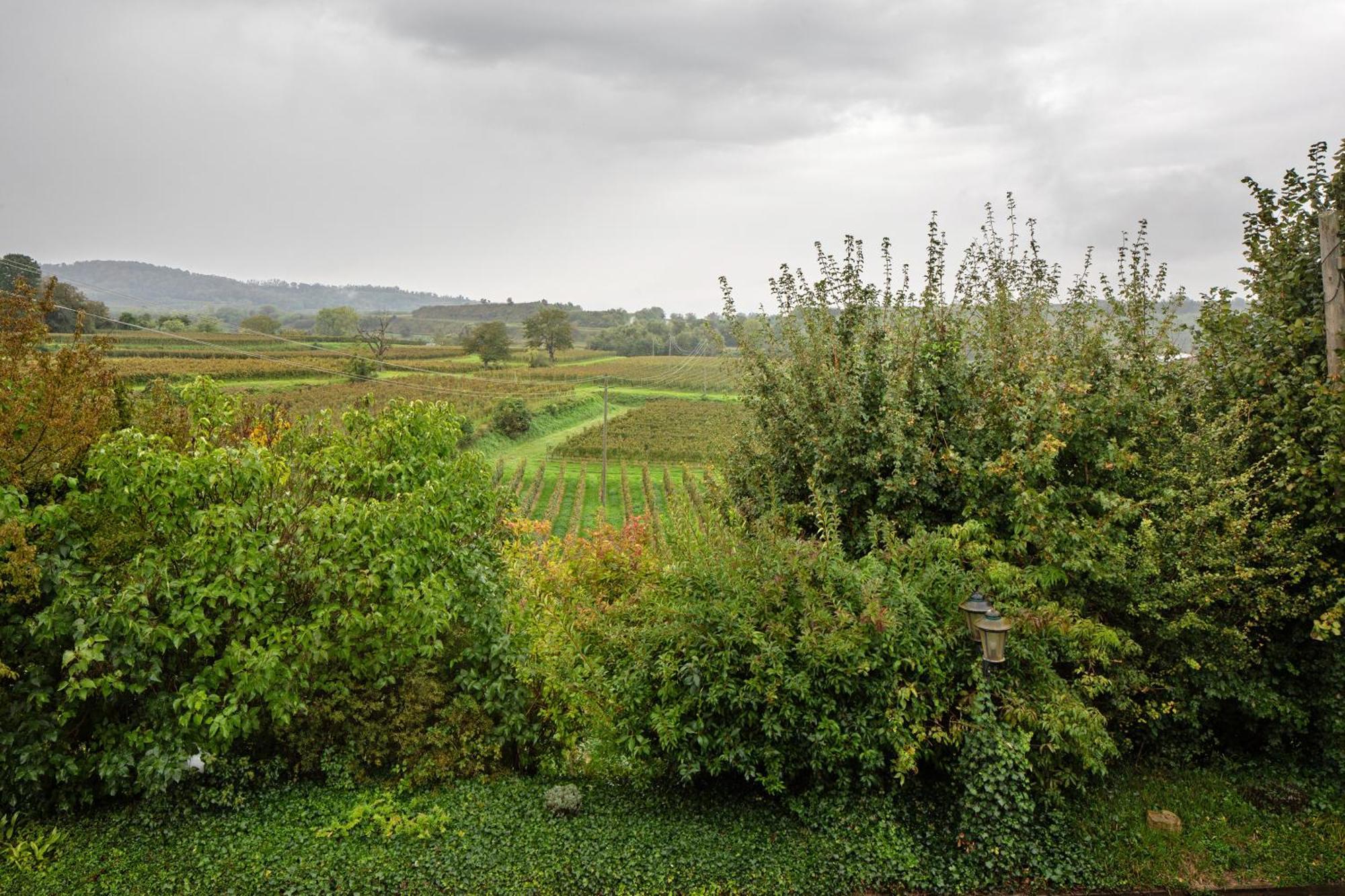 Ferienhaus Engelsberghof Endingen am Kaiserstuhl Luaran gambar